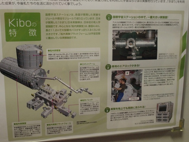 f925b3dc.jpg