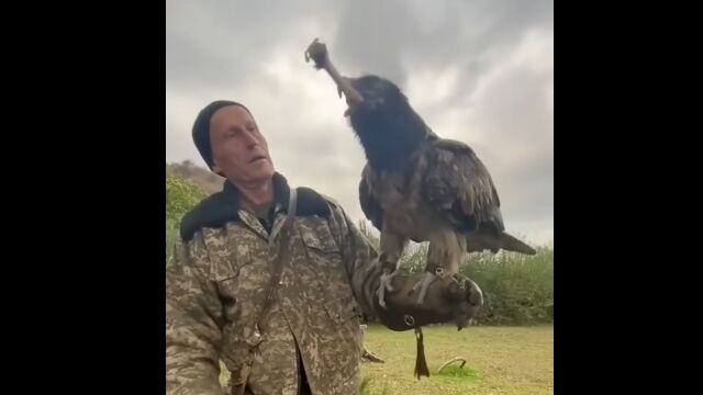 빽礭ιݤߡϤʰ߻ǾòƤޤҥ亮