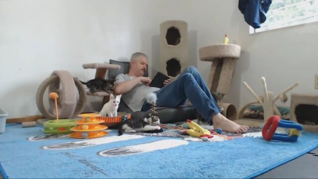 子猫だってさすがは猫。背後から触れた瞬間の宙返りが凄かった