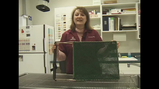 ǹӤ֤ǭñͤ뤿ƻEZ Nabber