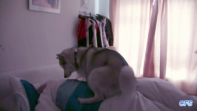 ��Ȥ˰�ɤ���ܳФޤ����פ����˻�����򵯤������ܳФޤ��������α�����