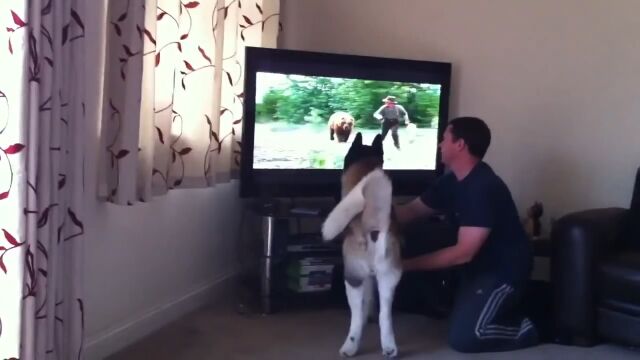 �ǲ�Υ��ޤ��綽ʳ���̴��ˤ�Ω�����������Ȥ��뽩�ĸ�