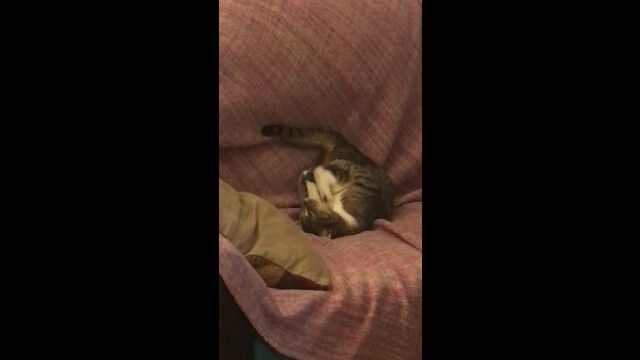 ��ʬ�δ�򽳤�Ȥ���������ä����Ѥ��ʼ�̣�����ǭ