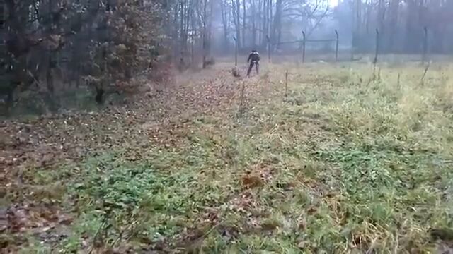 よく訓練された犬の本気の体当たりはスゴい