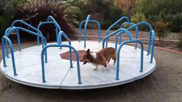 ��žͷ��������������Ӥ������륳��������