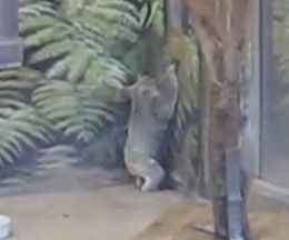������λ��鼼���ɤˤϡ����ڤγ��������ƤϤ����ʤ�