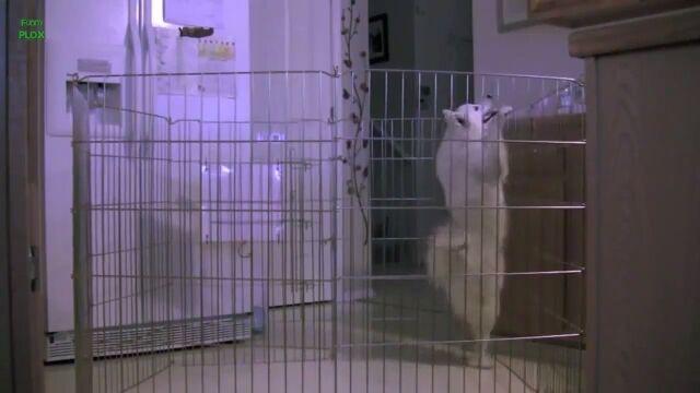 ƨ������ƨ�������������䥲���Ȥ���æ�����븤�����α�����