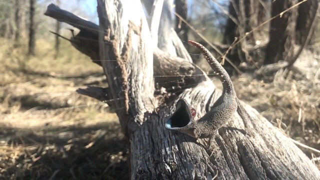 Ȥδ򴶤ȥåݤǴդʮͤ륭꤬Ǵդʮִͤ