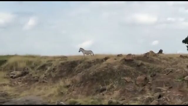 ���դ������ˤϴ�����Ϥ���Ƥ����������ʥ�����ץ졼�ǥ��ޥ��ޤ����饤����η���