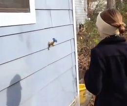 �ɤ˵����������ؤ�����äȳڤ�����