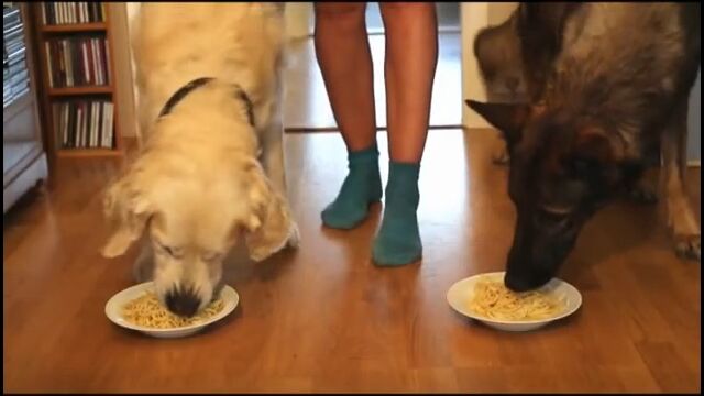 Ʊ�����ʤΤˤ���ʤˤ⿩�������㤦�Ȥϡ�������ǥ󡦥�ȥ꡼�С��ȥ��㡼�ޥ󡦥����ѡ��ɤΥ��ѥ��åƥ����Ῡ����ӱ���