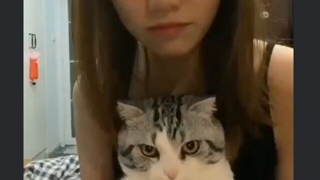 突如ドラゴンへと変貌した飼い主に驚き、慌てて逃げ出す猫
