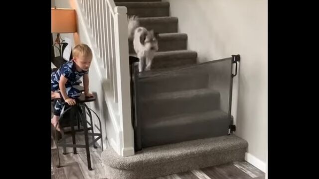 ���ä������֤������ѥ����Ȥ��ʤ�ΰ�̣�������ʤ��ä��ġ�