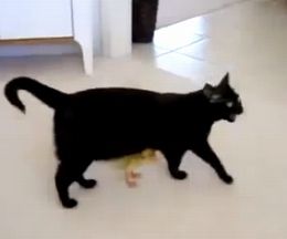 ���줬����ץ��ƥ��󥰡���ǭ����Ƥ��ȻפäƤĤ����⤯���ҥ�λ�