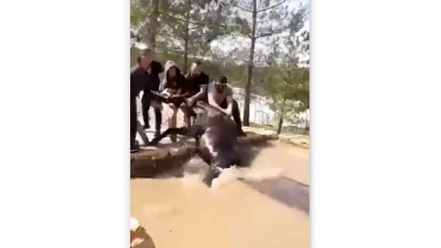 Ů�줿�Ϥ���ͤ�����ǰ����夲�롢�������������϶�ǻ��Ƥ��줿����