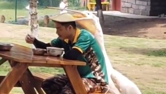 ��������ˤ�Ƭ�˥����Х��򤫤֤���ڥꥫ�󡣤��ä����ɤ����������ʤ���ġ�