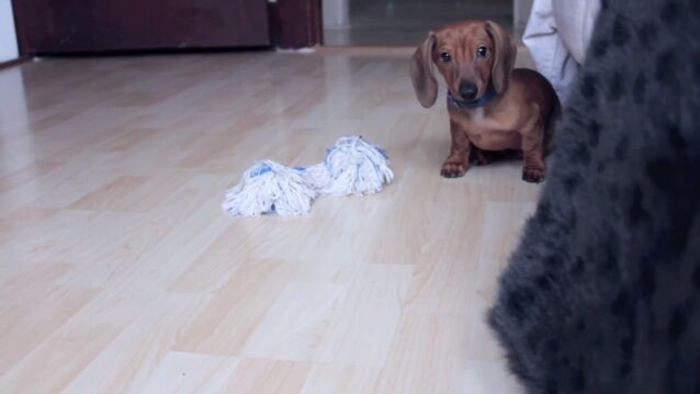 ����ޤ���ž����򤹤븤