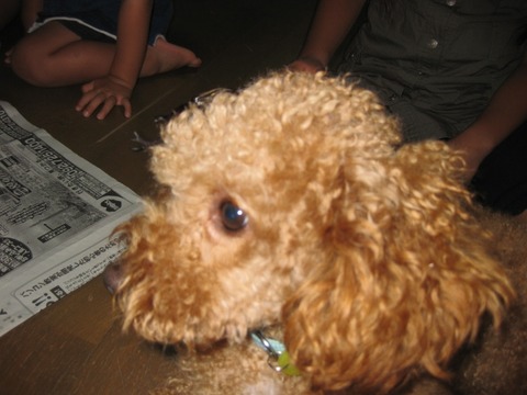 IMG_2571 (640x480)