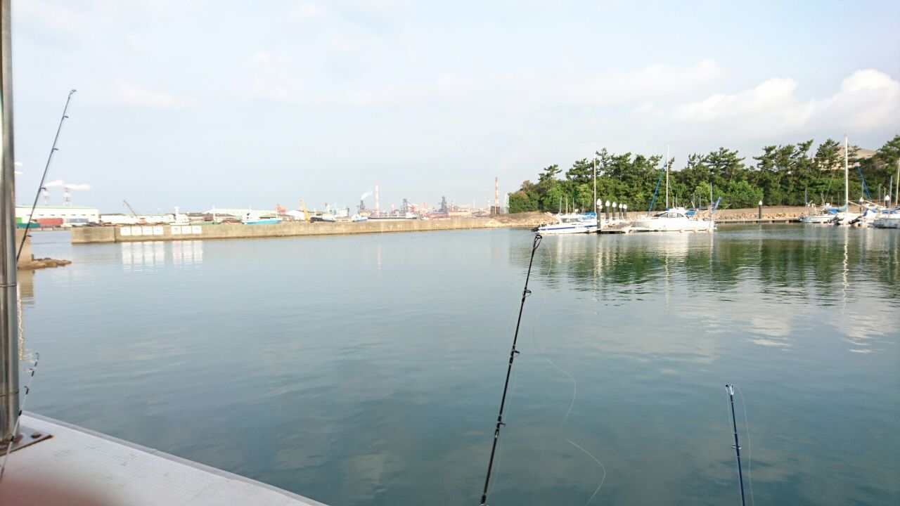 梅雨のタコ釣り くさべ渡船 よっちゃん烏賊が行く 地球丸ごと釣っちゃうよ のブログ