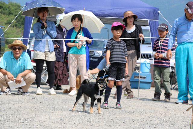 卯の花号幼犬雌