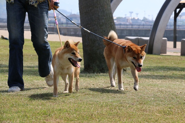 五色姫海浜公園