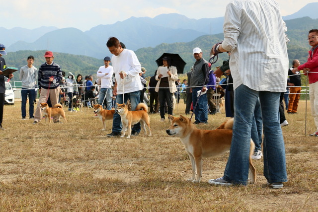 img2019-10-27-49