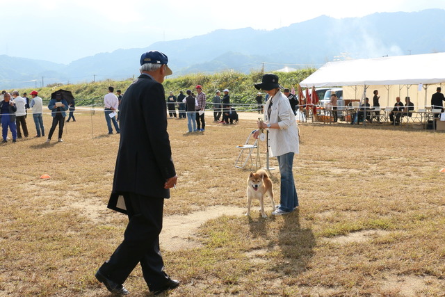 img2019-10-27-07