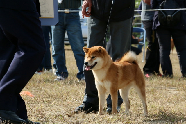 img2019-10-27-18