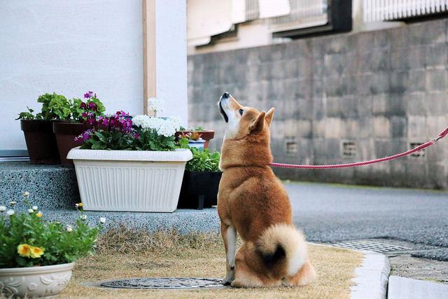 太郎～♪