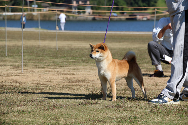 海山の輝姫号