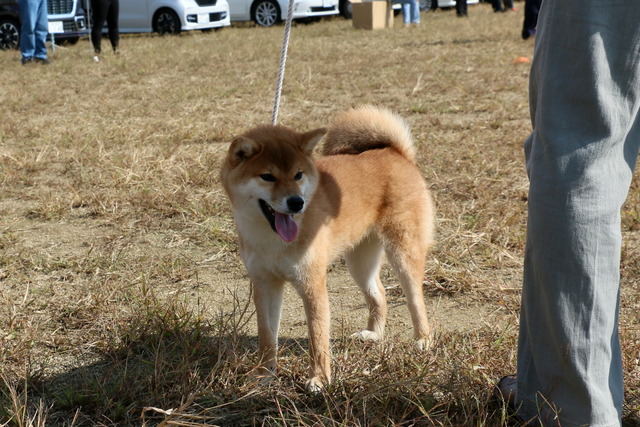 img2019-10-27-30
