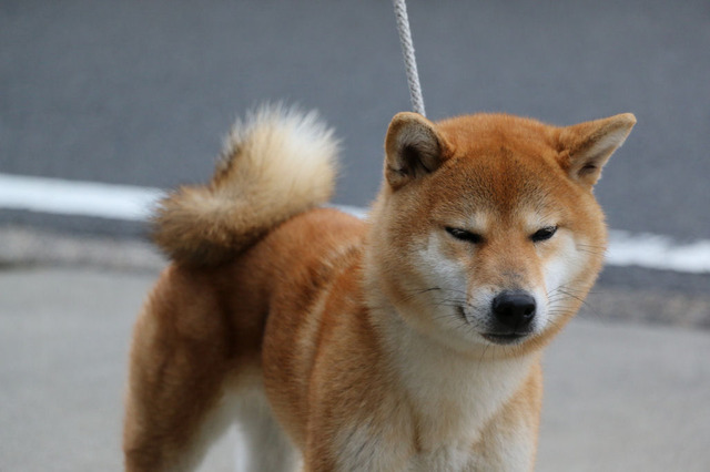 今朝のふたり