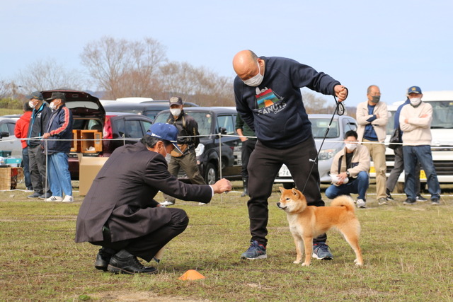 img2022-3-27-06
