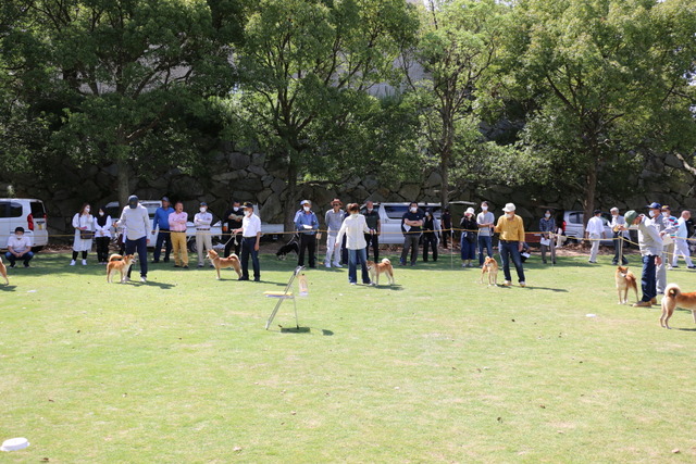 img2020-9-27-26