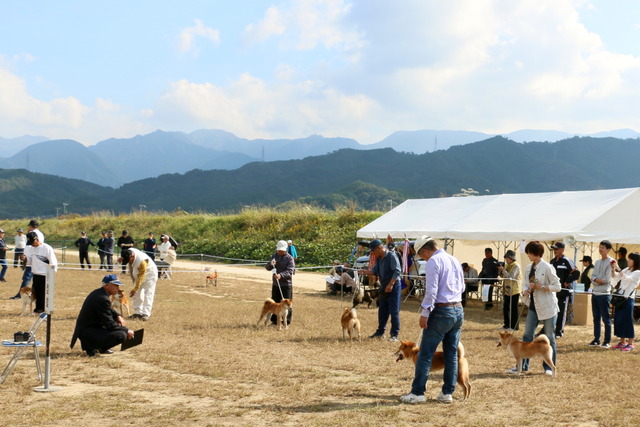 img2019-10-27-43