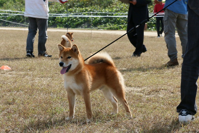 img2019-10-27-33