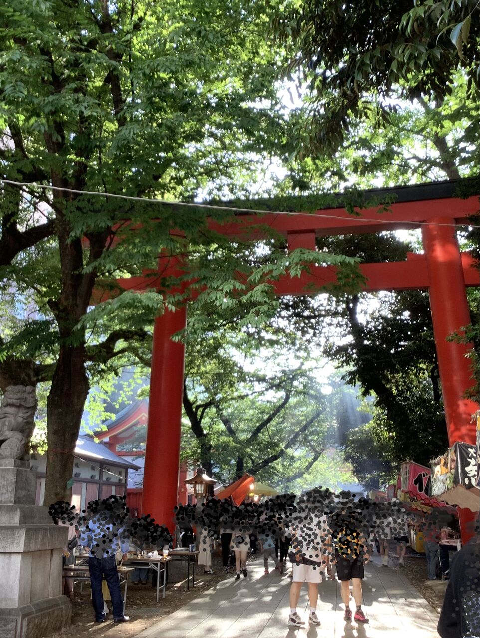 花園神社のお祭 箏 十七絃 演奏者 Maki Isogai