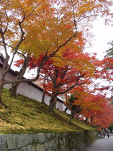 曼殊院1