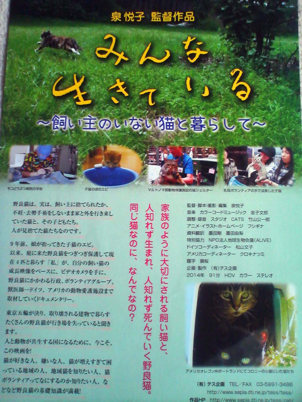 映画 みんな生きている 飼い主のいない猫と暮らして 江東ねこの会 映画 みんな生きている 飼い主のいない猫と暮らして 江東ねこの会