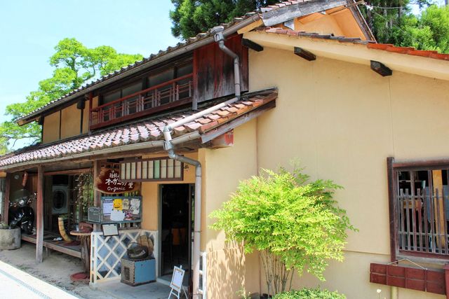 【岡山移住生活 1198日目】感動した瞬間!