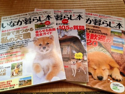 写真1