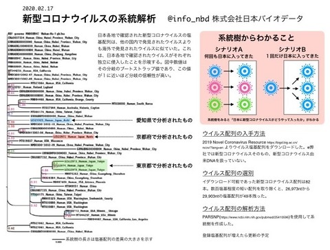 corona-keitou