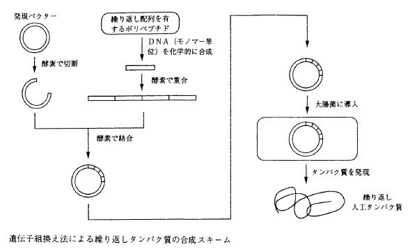 人工クモの糸ついに量産化へ 日比野庵 新館