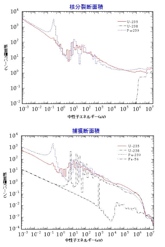 画像を等倍で表示します 画像