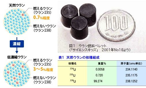 画像を等倍で表示します 画像