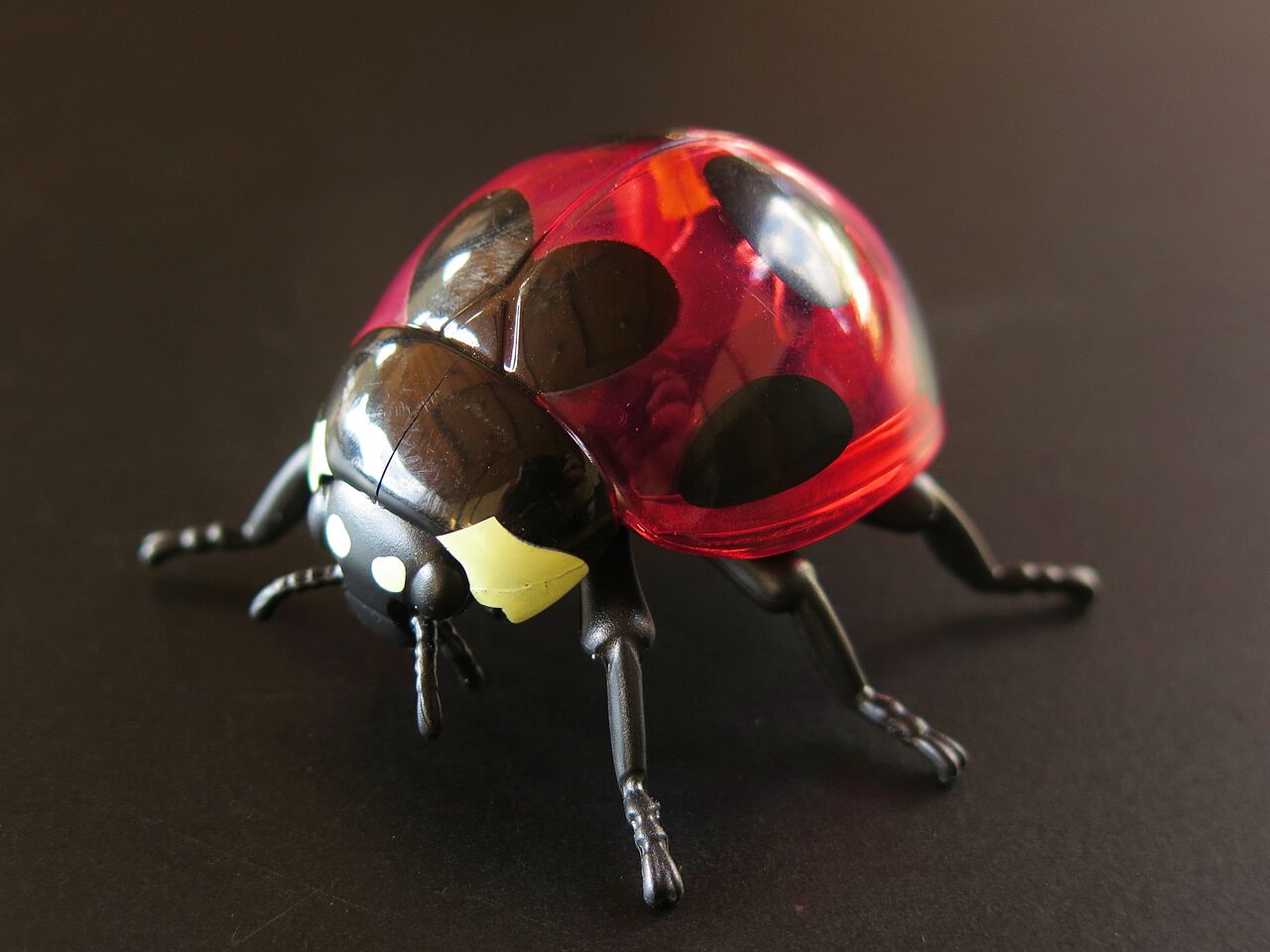 テントウムシの意味 彦島太郎の壽印