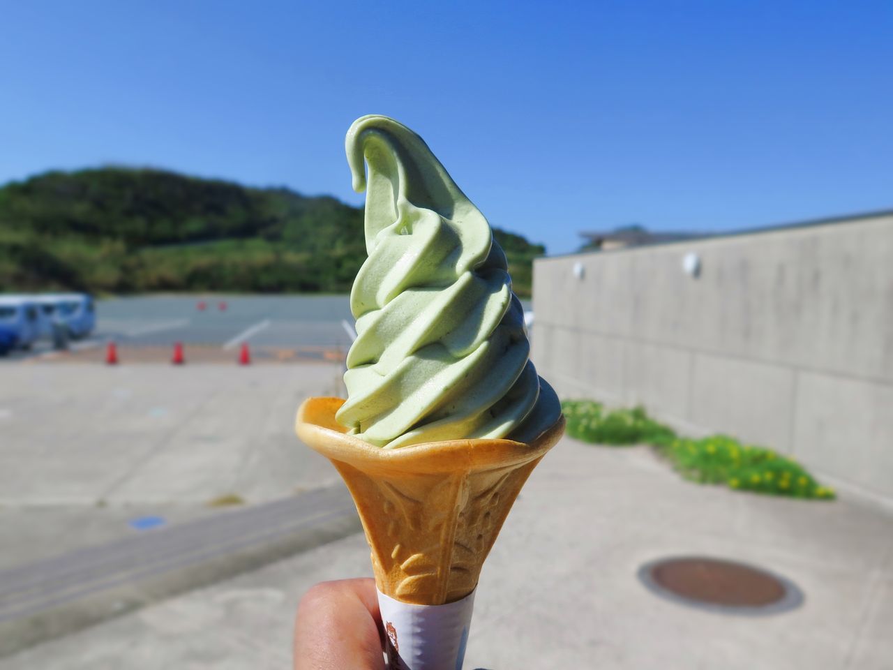 ワカメの味がするソフトクリーム 彦島太郎の壽印 ワカメの味がするソフトクリーム 彦島太郎の壽印