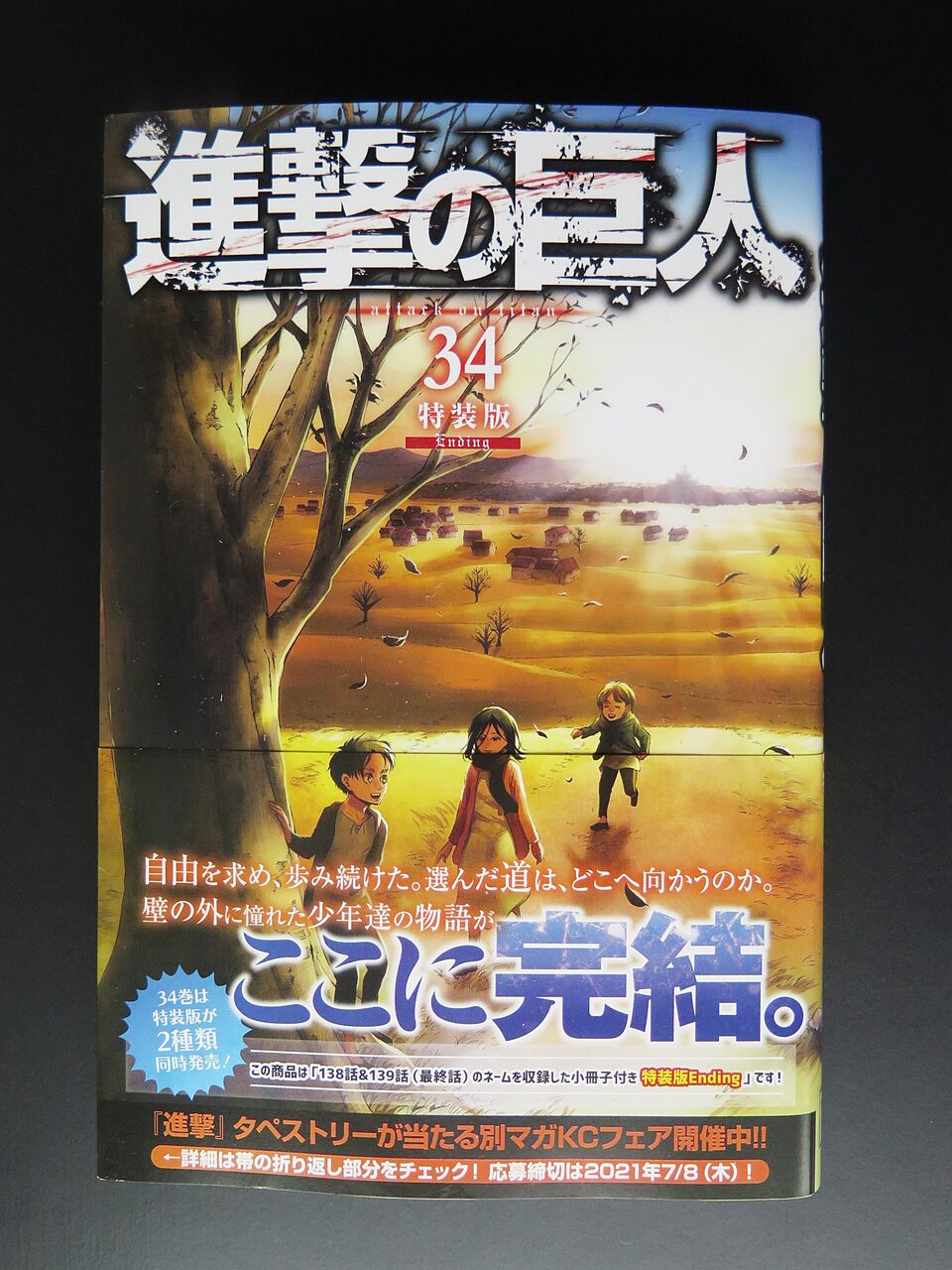 最終巻を読んで全部知った気になる 進撃の巨人 彦島太郎の壽印