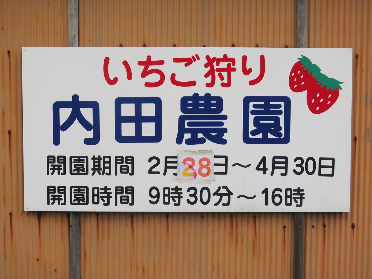 豊田町のいちご狩りが始まりました 内田農園 彦島太郎の壽印