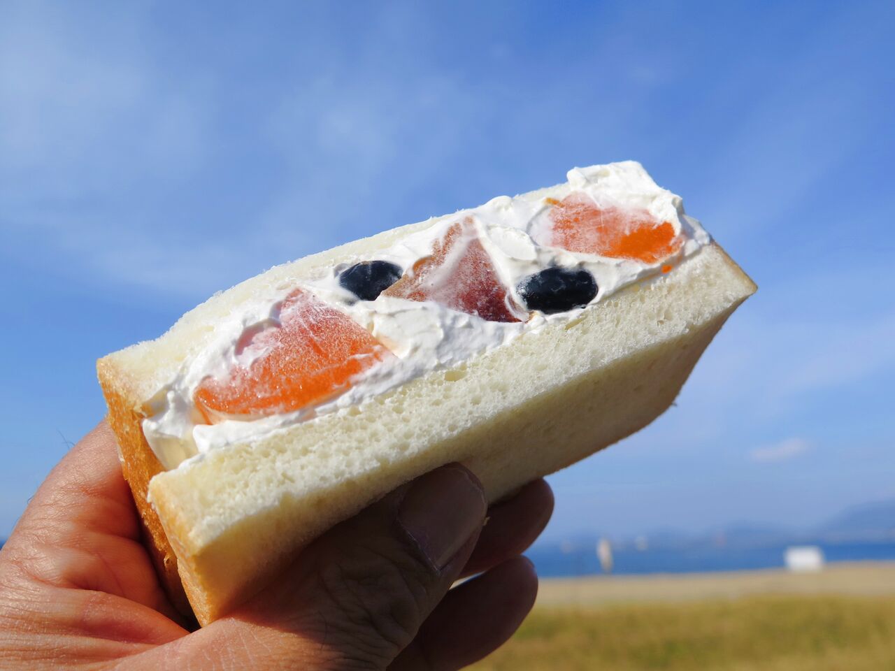 秋の海と柿のフルーツサンド フルーツサンドイッチ専門店 Room 105 彦島太郎の壽印